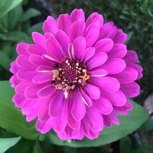 Meet your Posher, Rita